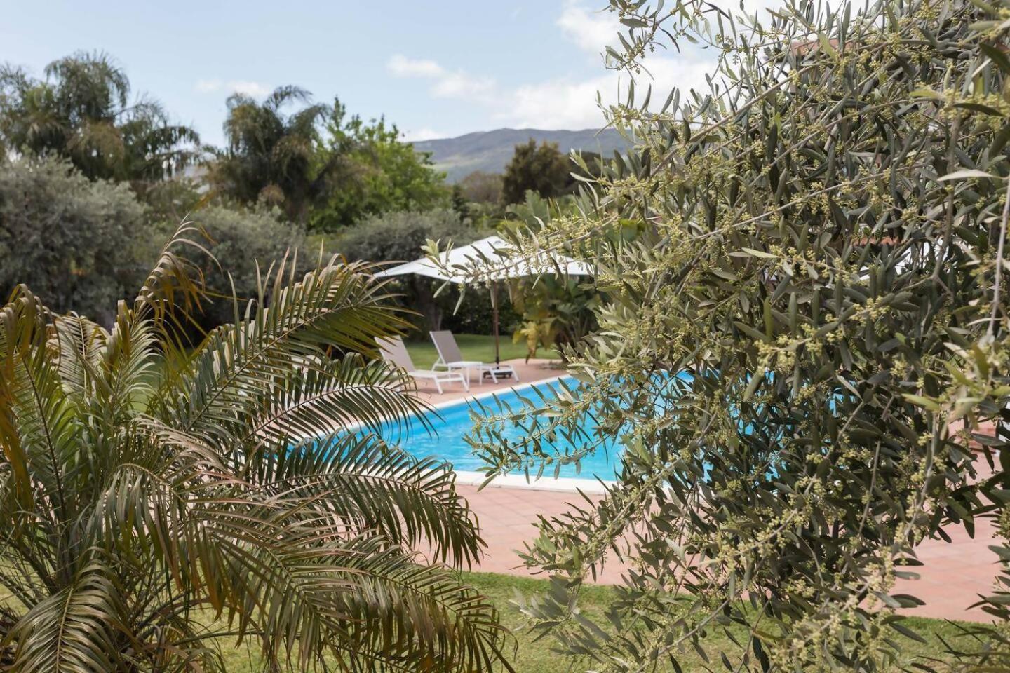 Villa Ginevra サンタ・ヴェネリーナ エクステリア 写真