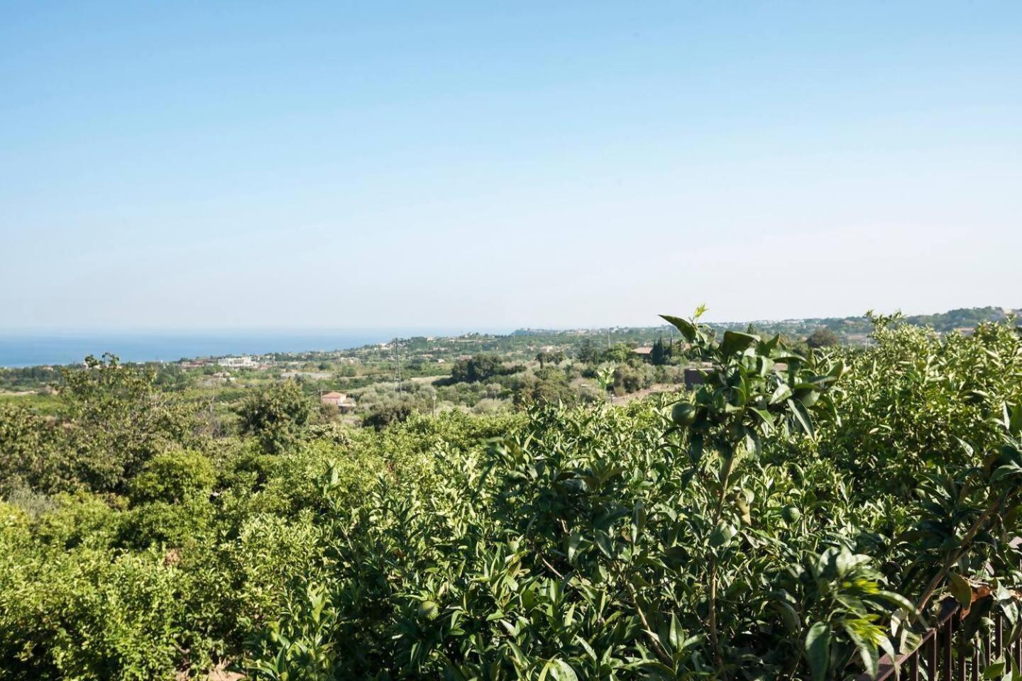 Villa Ginevra サンタ・ヴェネリーナ エクステリア 写真